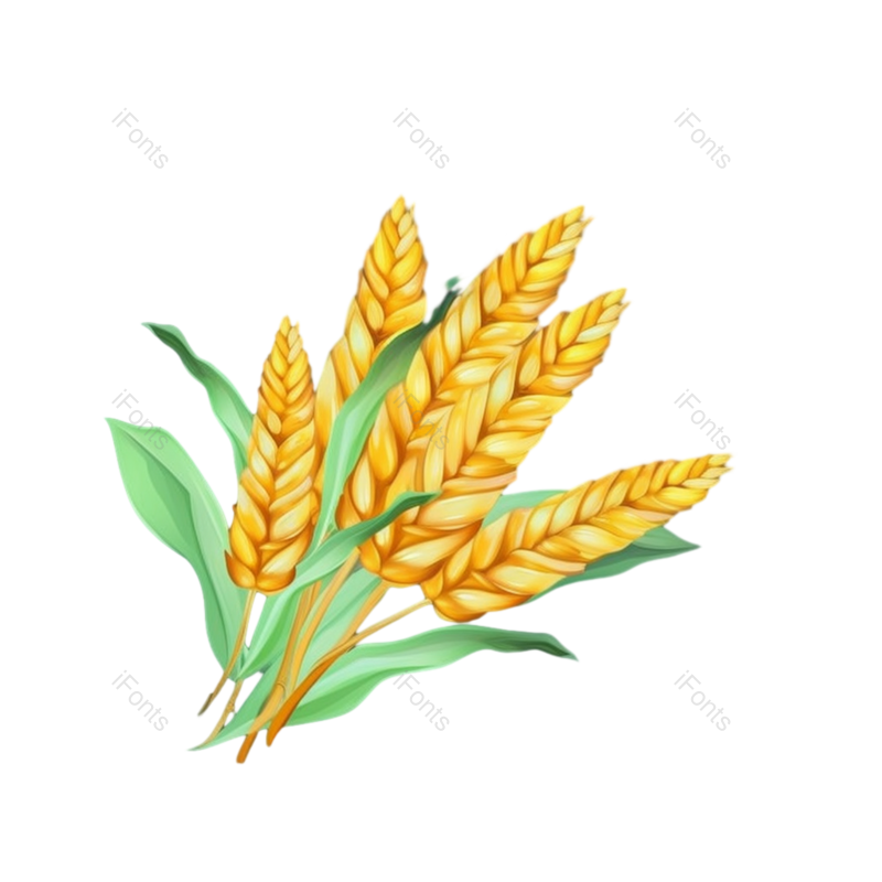 芒种图片,元素元素,秋天PNG,麦子免抠素材
